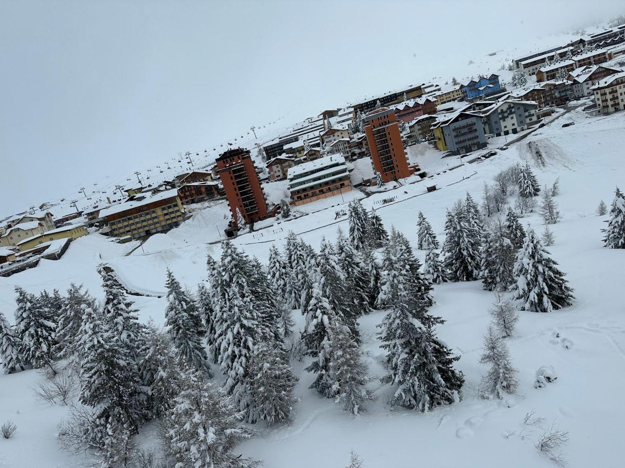 Bellavista Apartment Passo del Tonale